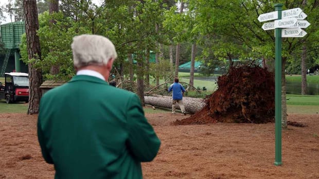 Tree-Fall-Masters